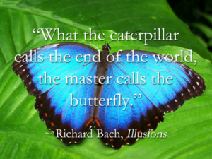 From Caterpillar to Butterfly1 Quarantine is Humanitys Necessary Metamorphic Time in the Chrysalis