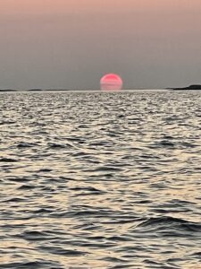 IMG 7672